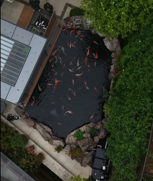 锦鲤池设计建造 · 原站展示素材