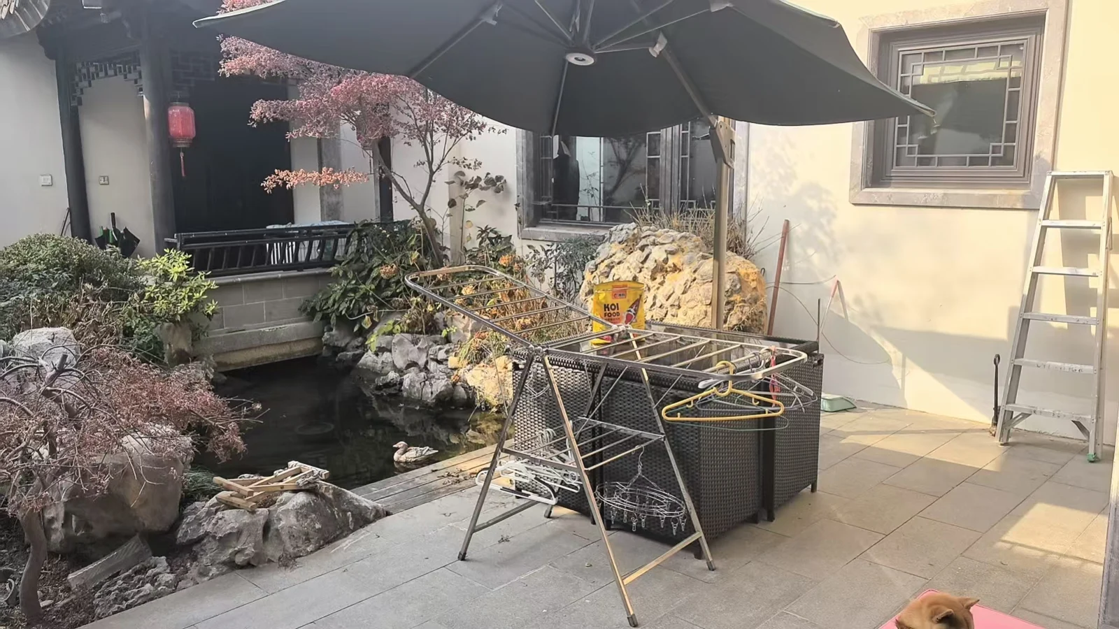 徐州 · 66㎡现场记录 · 现场记录 · 非竣工证明