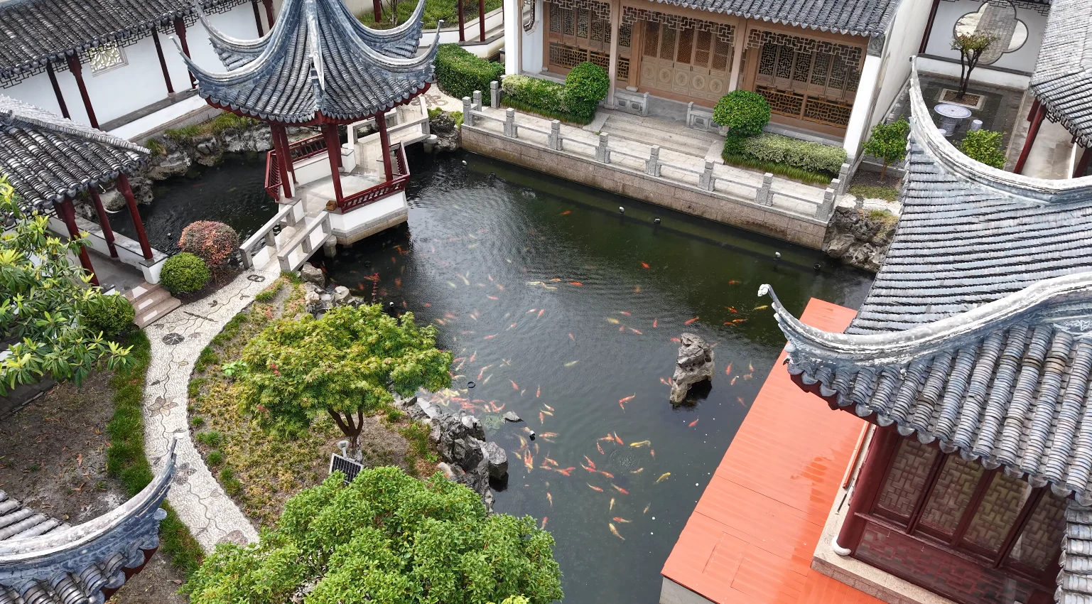 江苏南通锦鲤池项目：亭、水面与植物，企业提供的项目实景资料