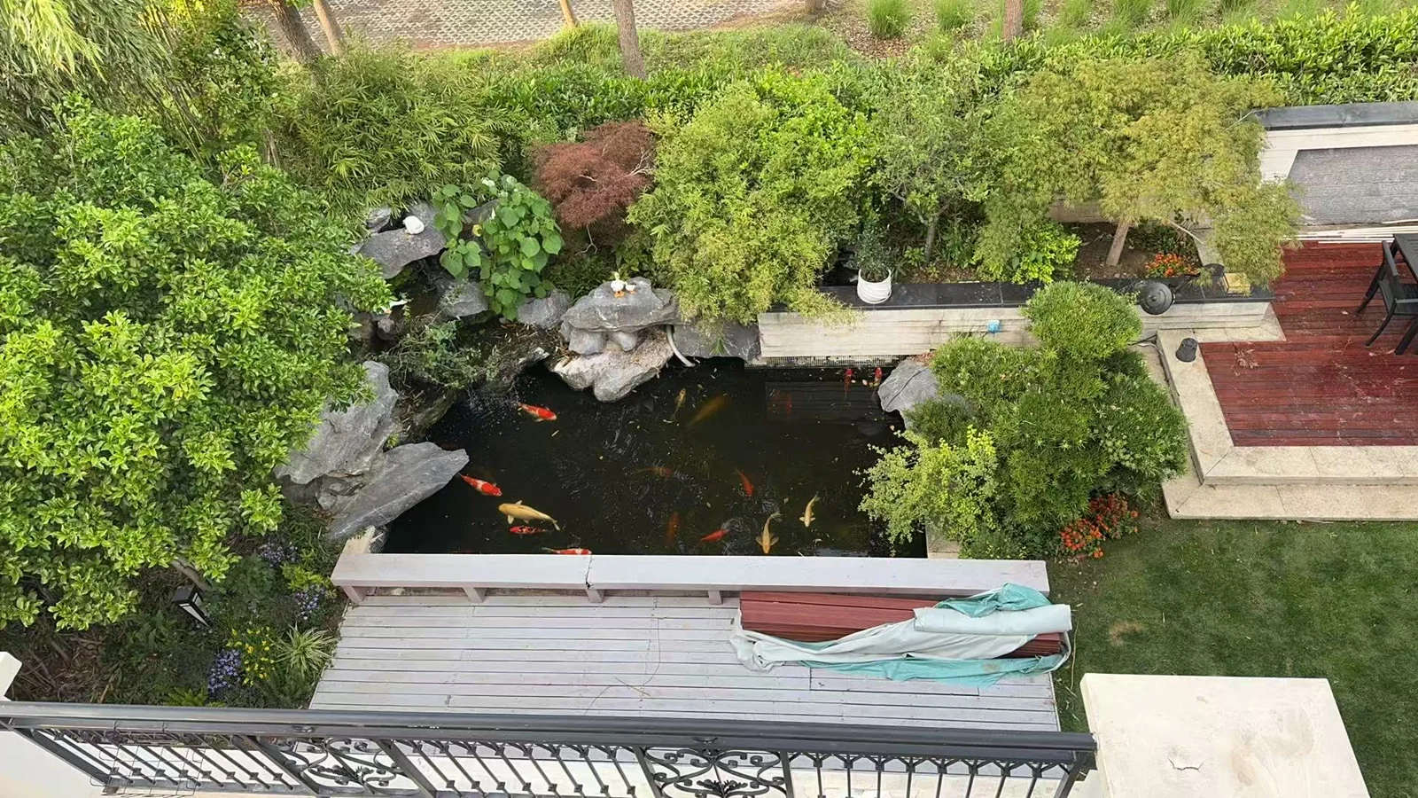 苏州太仓 · 30吨锦鲤池设计记录 · 鱼池设计记录